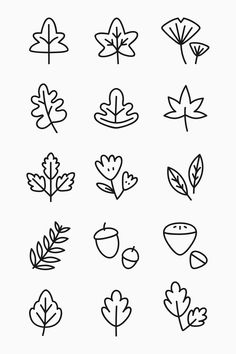 the different types of leaves are shown in black and white, including one with an arrow