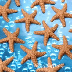 several starfish shaped cookies sitting on top of a blue plate with water droplets around them