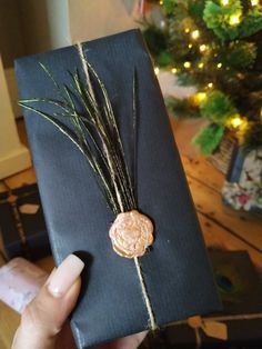 a person holding up a wrapped present in front of a christmas tree