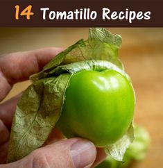 Tomatillos Recipes Chicken, Salsa With Tomatillos And Tomatoes, Tomatillo Chicken Recipes, Roasted Tomatillos In Oven, How To Tell When Tomatillos Are Ripe, Cooking With Tomatillos, How To Store Tomatillos