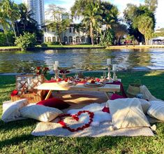 a picnic is set up on the grass by the water in front of some buildings