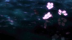 three pink flowers floating on top of water next to each other in the night sky