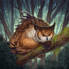 an owl is sitting on a branch in the woods