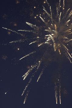 fireworks are lit up in the night sky