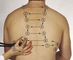 a person holding a stethoscope in front of their back with arrows on it