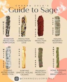 Witch Herbs, Magia Das Ervas, Sage Smudge, Witch Spirituality, Magic Herbs, Magical Herbs, Witchcraft Spell Books