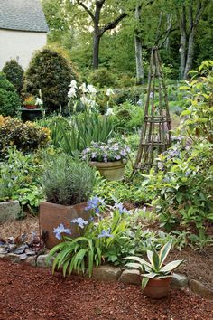 a garden filled with lots of different types of plants and flowers next to a house