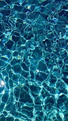 the water is very blue and it looks like they are floating in the pool or swimming