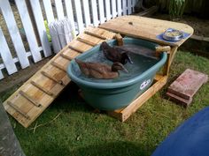 a dog in a tub that is sitting on the grass next to a wooden bench