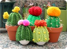 three crocheted cactus pots with colorful pom poms in them on a table