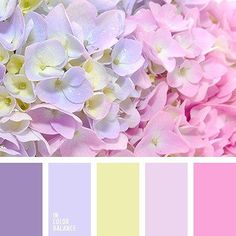 a bunch of flowers that are in some color swatches with the words, pink and yellow