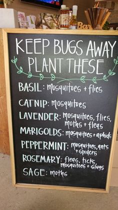 Plants That Repel Bugs, Home Vegetable Garden, Garden Yard Ideas, Veggie Garden, Lawn And Garden, The Plant, Permaculture, Garden Planning, Garden And Yard