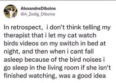 a tweet that reads, in retrospect i don't think telling my therapist that i let my cat watch birds on my switch in bed at night and then