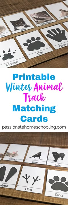 printable winter animal track matching cards for kids to practice their handwriting and number recognition skills