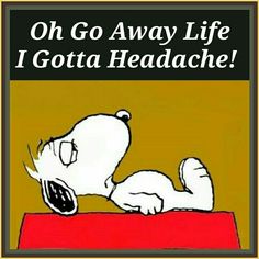 Me when I can't Sleep. 😒 Funny Happy Birthday Quotes, Quotes Friend, Birthday Friend, Snoopy Funny, Happy Birthday Friend, Happy Birthday Quotes Funny, Peanuts Cartoon, Snoopy Quotes, Peanuts Characters