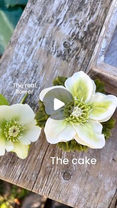 two white flowers sitting on top of a wooden table next to each other with the words the cake below it