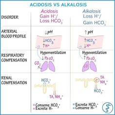 the different types of acids and alkaloises are shown in this diagram