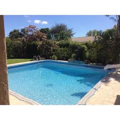 an empty swimming pool in the middle of a yard with trees and bushes around it