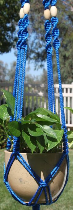 a potted plant with blue rope hanging from it's sides in a yard