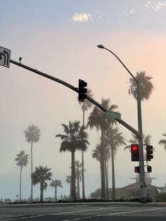 a traffic light sitting next to palm trees