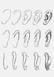 a drawing of different types of ear shapes