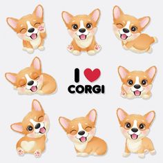 a set of cute little corgi puppies with different expressions and their names