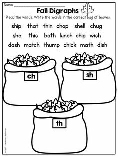 the worksheet for fall digrams is shown with three bags filled with leaves