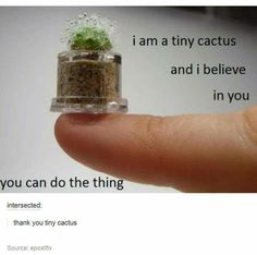 someone is holding up a tiny glass jar with a plant inside it and the caption says, i am tiny cactus and i believe you can do the thing