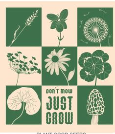 the plant good seeds poster is shown in green and white