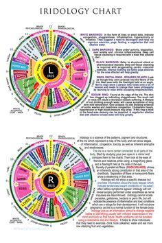 Ao Scan, Iridology Chart, Lymph Glands, Life Knowledge, Edgar Cayce, Medical Anatomy, Body Organs, Chronic Inflammation