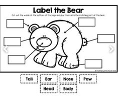 the label the bear worksheet