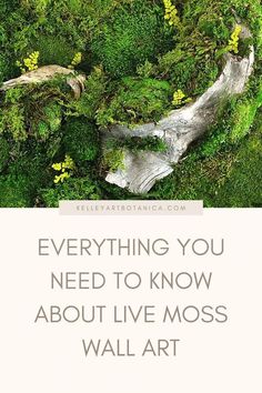 the words everything you need to know about live moss wall art