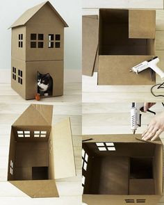 there is a cardboard box with a cat in it and a house on the inside