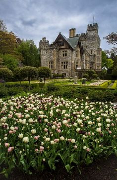 a garden with flowers in front of a large building