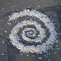 a spiral made out of shells on the ground