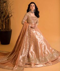 Simple Wedding Dress Pakistani, Bridal Outfit Pakistani, Engagement Gown Pakistani, Pakistani Actress Wedding Dresses, Dress Pakistani Style, Bridal Dress Pakistani, Walima Maxi Pakistani Bridal, Wedding Dress Pakistani, Classical Conditioning