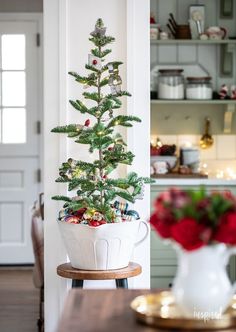 a potted christmas tree sitting on top of a table