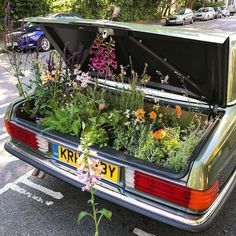 an open trunk with flowers and plants in it