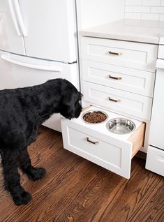 a black dog eating food out of a dishwasher