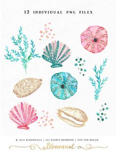 watercolor painting of sea shells and plants on white paper with blue, pink and green accents