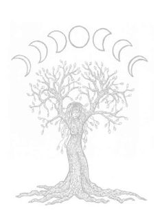 a drawing of a tree with the moon phases above it