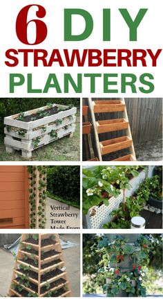 six diy strawberry planters are shown with text overlay that reads 6 diy strawberry planters