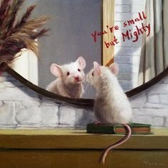 two white mice looking at each other through a mirror