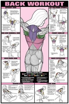 the back workout poster with instructions