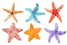 four starfishs are painted in different colors