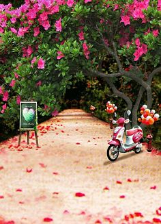 a pink scooter parked on the side of a dirt road next to flowers