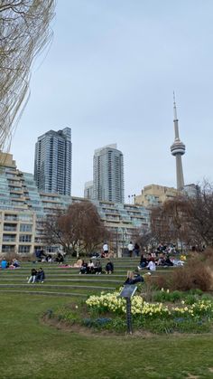 many people are sitting on the grass in front of some tall buildings and skyscrapers