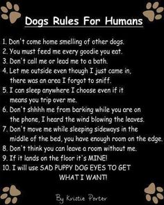 dogs rules for humans written on a black background