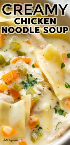 this creamy chicken noodle soup is loaded with vegetables and dumplings it's ready to be eaten