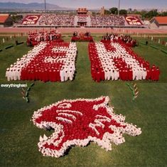 a large group of people standing on top of a field next to a giant red and white flag